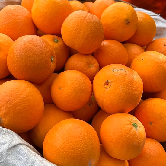 Small Bag, Popular Dried Mandarin Orange, High Quality