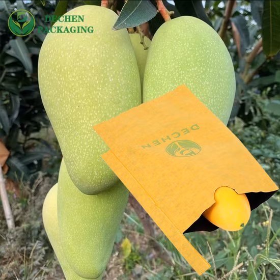 Customized Grape Water Resistant Paper Fruit Protection Bag Handles