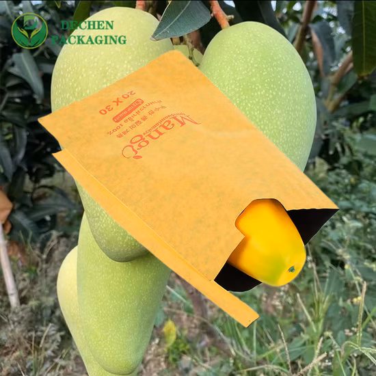 Protective Waterproof Supplier Fruit Cover Mango Paper Bag